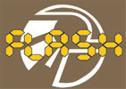 flash 01.007