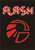 flash 10.08